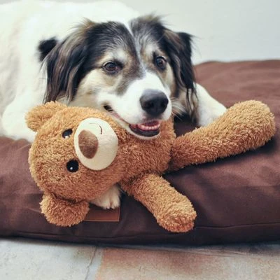 Petlando Moodles Bär 4 Petlando Moodles Bär – Bild 2