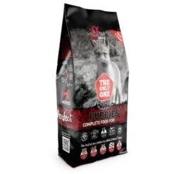 Alpha Spirit The Only One Puppies