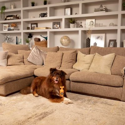 Pet Head Ditch The Dirt Shampoo 9 Pet Head Ditch The Dirt Shampoo – Bild 7