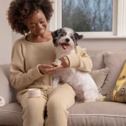 Pfotenbalsam Für Hunde: Pet Head On All Paws Paw Butter -Günstiges Kornfrei Futter Geschäft 159703 companyofanimals pethead onall pawspawbutter 40g hs 05 1