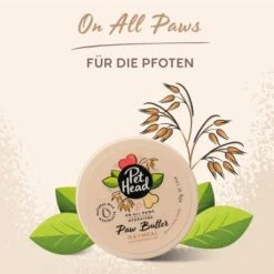 Pfotenbalsam Für Hunde: Pet Head On All Paws Paw Butter -Günstiges Kornfrei Futter Geschäft 159703 companyofanimals pethead onall pawspawbutter 40g hs 06 6