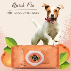 Pet Head Quick Fix Wipes -Günstiges Kornfrei Futter Geschäft 159705 companyofanimals pethead quickfixwipes 80stck hs 05 3