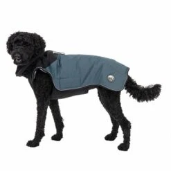 TIAKI Hundemantel Warmup Pro Skyneu -Günstiges Kornfrei Futter Geschäft 180298 warmup pro sky fg 6915 6