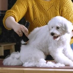 Schermaschine Moser Arco Pro -Günstiges Kornfrei Futter Geschäft 181496 wahl moser schermaschinemoser arcopro hs 05 3