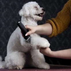 Schermaschine Moser Arco Pro -Günstiges Kornfrei Futter Geschäft 181496 wahl moser schermaschinemoser arcopro hs 06 2