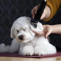 Schermaschine Moser Arco Pro -Günstiges Kornfrei Futter Geschäft 181496 wahl moser schermaschinemoser arcopro hs 07 8