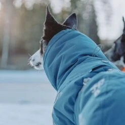 Hurtta Bare Winterjacke Storm -Günstiges Kornfrei Futter Geschäft 186541 188196 188197 188198 188199 188200 188201 hurtta zooplus bare winterjacke storm hs 08 6