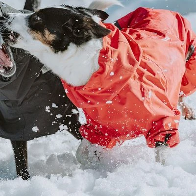 Hurtta Bare Regenoverall Berry – Bild 10