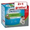 2 + 1 Gratis! 3 X Purina Dentalife Hundesnacks -Günstiges Kornfrei Futter Geschäft 1873446 4