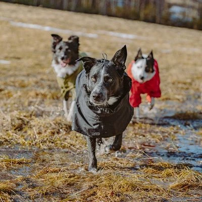 Hurtta Bare Regenmantel Coal – Bild 11