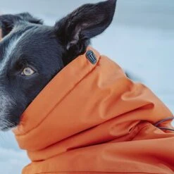 Hurtta Bare Winterjacke Sunrise -Günstiges Kornfrei Futter Geschäft 188296 188297 188298 188299 188300 188301 188302 hurtta forzooplus bare winterjacke sunrise hs 15 9