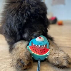 Max & Molly Hundespielzeug Bubba King -Günstiges Kornfrei Futter Geschäft 191100 maxn molly kuscheltier spielzeug bubba king hs 04 5