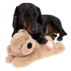 Hundespielzeug Mr. Snugglez -Günstiges Kornfrei Futter Geschäft 193223 mr snugglez fg 7903 5