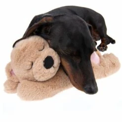 Hundespielzeug Mr. Snugglez -Günstiges Kornfrei Futter Geschäft 193223 mr snugglez fg 7907 1