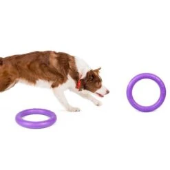 Ferplast Hundespielzeug Puller -Günstiges Kornfrei Futter Geschäft 199296 ferplastitalien ferplast hundespielzeug puller midi 27cm hs 06 1