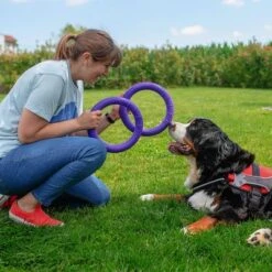 Ferplast Hundespielzeug Puller -Günstiges Kornfrei Futter Geschäft 199296 ferplastitalien ferplast hundespielzeug puller midi 27cm hs 11 7
