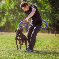 Ferplast Hundespielzeug Puller -Günstiges Kornfrei Futter Geschäft 199296 ferplastitalien ferplast hundespielzeug puller midi 27cm hs 13 9