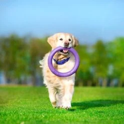 Ferplast Hundespielzeug Puller -Günstiges Kornfrei Futter Geschäft 199296 ferplastitalien ferplast hundespielzeug puller midi 27cm hs 16 5