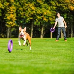 Ferplast Hundespielzeug Puller -Günstiges Kornfrei Futter Geschäft 199296 ferplastitalien ferplast hundespielzeug puller midi 27cm hs 17 7