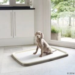 Savic Puppy Trainer Starter Set -Günstiges Kornfrei Futter Geschäft 1 190792 puppy trainer starter set 04 0