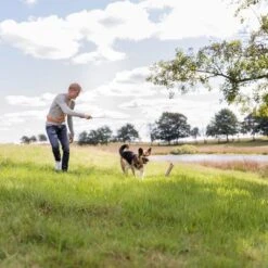 Trixie Reizangel -Günstiges Kornfrei Futter Geschäft 209093 trixie reizangel hs 06 8