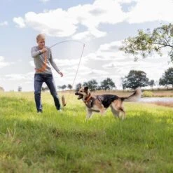 Trixie Reizangel -Günstiges Kornfrei Futter Geschäft 209093 trixie reizangel hs 07 5