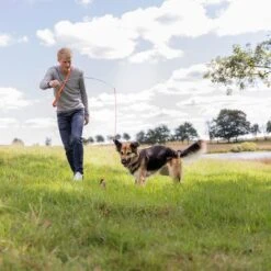 Trixie Reizangel -Günstiges Kornfrei Futter Geschäft 209093 trixie reizangel hs 08 7