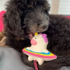 Max & Molly Hundespielzeug Magic Mikey -Günstiges Kornfrei Futter Geschäft 210399 maxnmolly hundespielzeug magic mikey hs 03 1