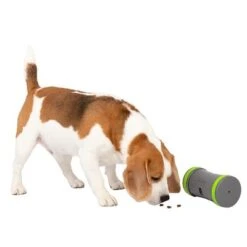 PetSafe Kibble Chase Selbstbewegendes Belohnungsspielzeug 8 PetSafe Kibble Chase Selbstbewegendes Belohnungsspielzeug -Günstiges Kornfrei Futter Geschäft 215613 radiosystems petsafe kibble chase selbstbewegendes belohnungsspielzeug hs 04 0