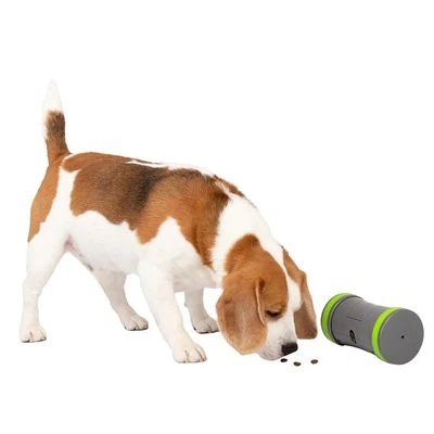 PetSafe Kibble Chase Selbstbewegendes Belohnungsspielzeug 4 PetSafe Kibble Chase Selbstbewegendes Belohnungsspielzeug – Bild 2