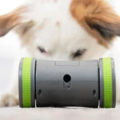 PetSafe Kibble Chase Selbstbewegendes Belohnungsspielzeug 10 PetSafe Kibble Chase Selbstbewegendes Belohnungsspielzeug -Günstiges Kornfrei Futter Geschäft 215613 radiosystems petsafe kibble chase selbstbewegendes belohnungsspielzeug hs 05 3