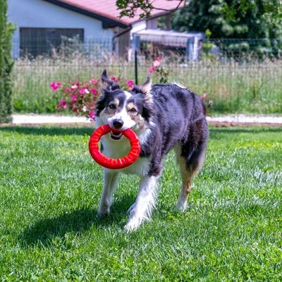 Ferplast Smile Kauring, Rot – Bild 8