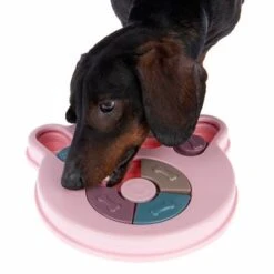 Intelligenzspielzeug Snack Paw -Günstiges Kornfrei Futter Geschäft 230497 snack paw fg 0739 4