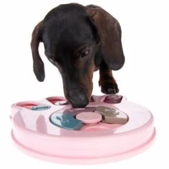 Intelligenzspielzeug Snack Paw -Günstiges Kornfrei Futter Geschäft 230497 snack paw fg 0770 7