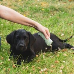 Pet Teezer Welpenbürste -Günstiges Kornfrei Futter Geschäft 230724 pet teezer welpenbuerste hs 17 0