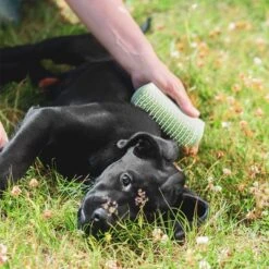 Pet Teezer Welpenbürste -Günstiges Kornfrei Futter Geschäft 230724 pet teezer welpenbuerste hs 19 6