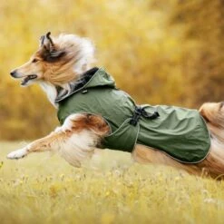 Rukka® Streamy Eco Regenmantel, Oliv -Günstiges Kornfrei Futter Geschäft 258796 258797 257420 257421 257422 258800 258896 258897 257425 rukka streamy eco regenmantel oliv hs 07 6