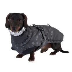 Hundemantel Reflecting Stars -Günstiges Kornfrei Futter Geschäft 262001 hundemantel reflecting stars fg 1934 2