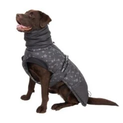 Hundemantel Reflecting Stars -Günstiges Kornfrei Futter Geschäft 262100 labrador fg 1982 1