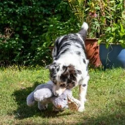 Hundespielzeug Elsie -Günstiges Kornfrei Futter Geschäft 267996 elsie mit hund fg 3306 3