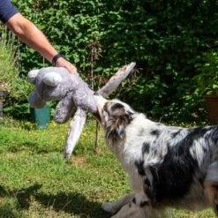 Hundespielzeug Elsie -Günstiges Kornfrei Futter Geschäft 267996 elsie mit hund fg 3309 7