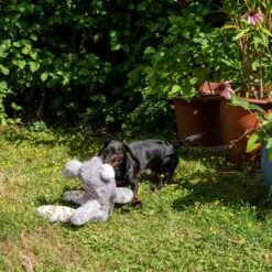 Hundespielzeug Elsie -Günstiges Kornfrei Futter Geschäft 267996 elsie mit hund fg 3335 8