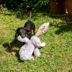 Hundespielzeug Elsie -Günstiges Kornfrei Futter Geschäft 267996 elsie mit hund fg 3339 8