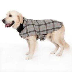 Hundemantel Flannel Check -Günstiges Kornfrei Futter Geschäft 269071 flannel check 60cm fg 2346 8