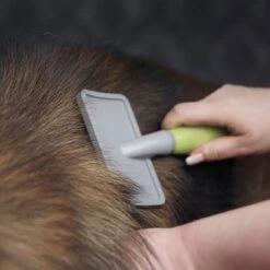 Moser Große Zupfbürste -Günstiges Kornfrei Futter Geschäft 289696 moser grosse zupfbuerste hs 02 6