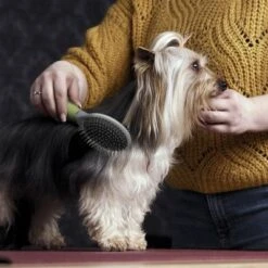 Moser Beidseitige Fellpflegebürste -Günstiges Kornfrei Futter Geschäft 289796 moser beidseitige fellpflegebuerste hs 02 1