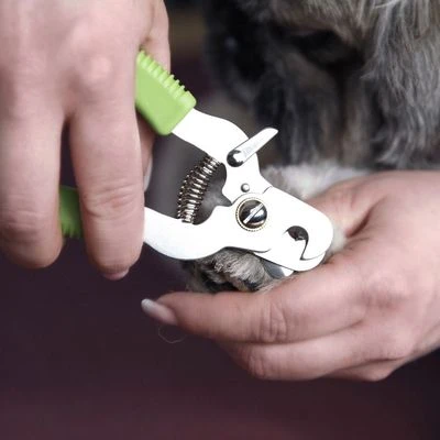 Moser Krallenzange 5 Moser Krallenzange – Bild 3