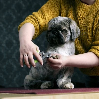 Moser Krallenzange 4 Moser Krallenzange – Bild 2