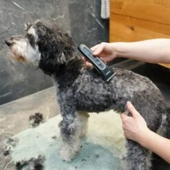 Kooa Akku-Schermaschine GEAR 3S -Günstiges Kornfrei Futter Geschäft 293196 kooa akku schermaschine gear 3s 2 8