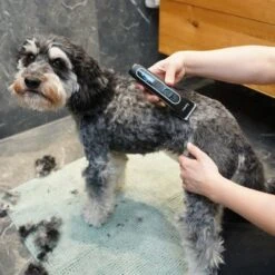 Kooa Akku-Schermaschine GEAR 3S -Günstiges Kornfrei Futter Geschäft 293196 kooa akku schermaschine gear 3s 3 6